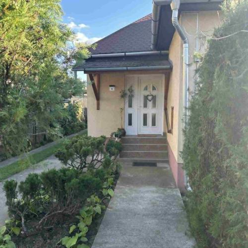 Image of Kitti Kuck�ja