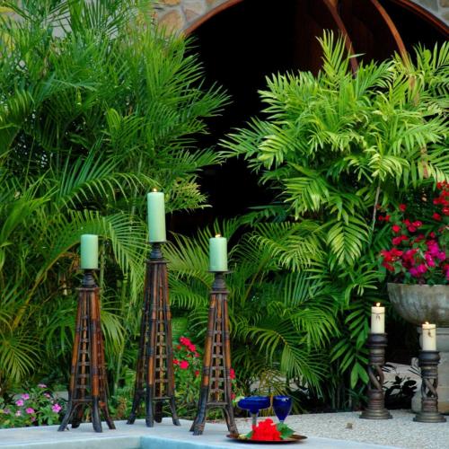 Image of Almond Tree Hotel Resort