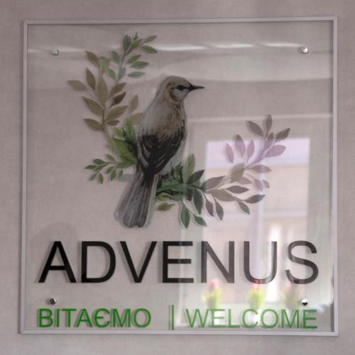 Image of Advenus Hotel