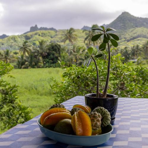 Image of Hidden Haven - Private Mountain View - Retreat in Nature