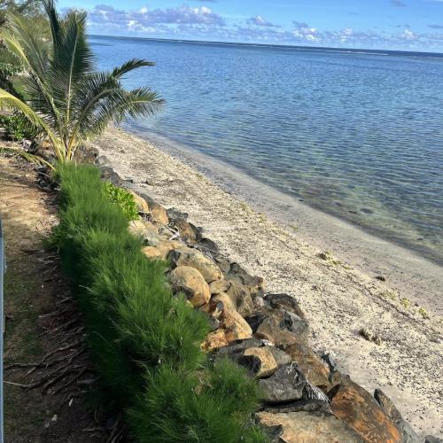Image of Toreaiva 91 Beachfront Studios