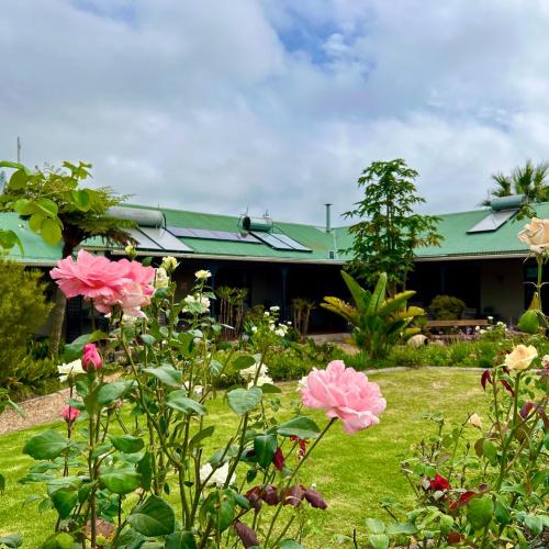 Image of African Sun Guest House