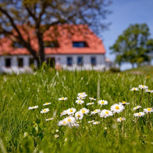 Image of Gutshaus Ketelshagen