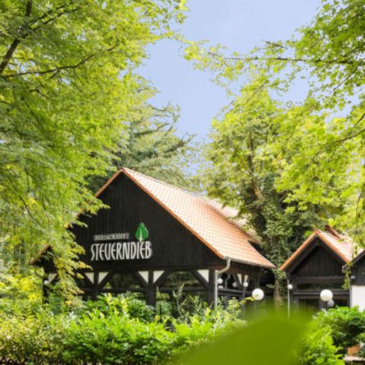 Restaurant & Logis Steuerndieb, undefined