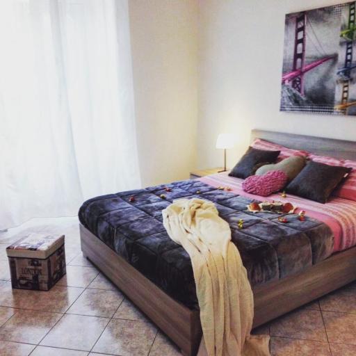 Alpivida Home, undefined