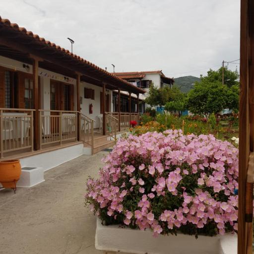 Asimina's House, undefined