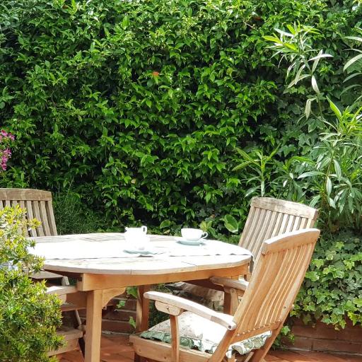 Marco's house, undefined