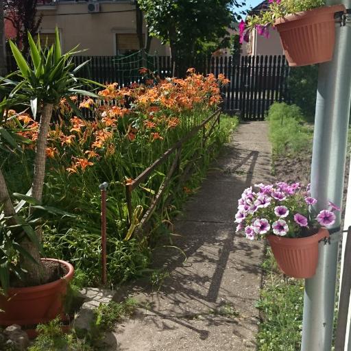 Kossuth Lajos u. 176., undefined