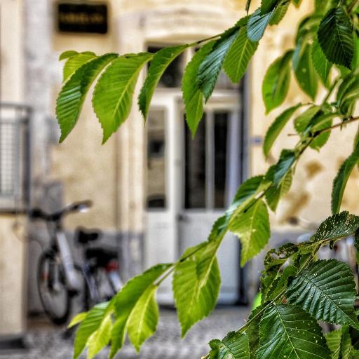 La Fontaine - Studio Ecusson, undefined