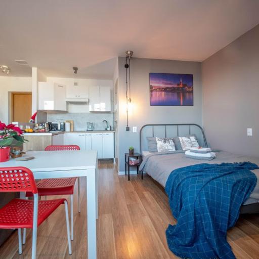 Modern studio in the city center of Wroclaw!, undefined