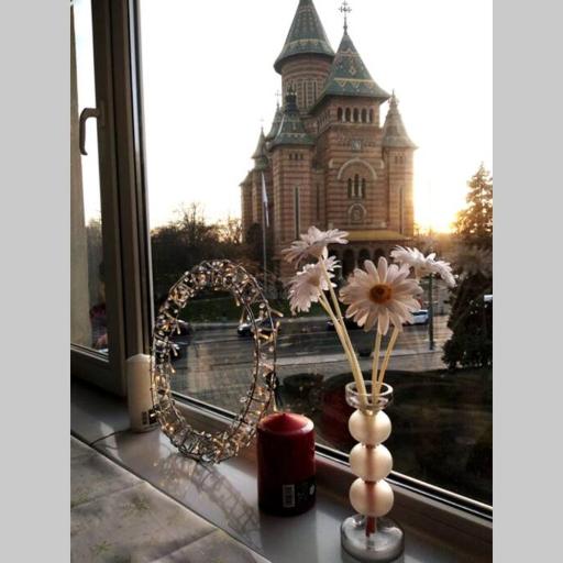 Ultracentral Cathedral Apartament Timisoara, undefined