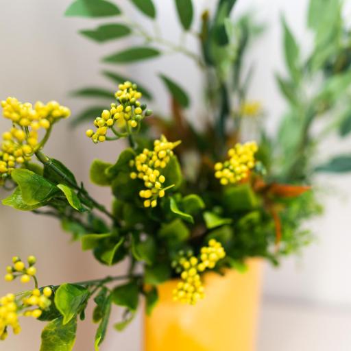 FOREST M,Constanta, undefined