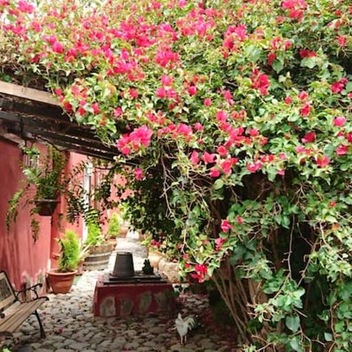 Cosy House in La Sabinita with Mountain View, undefined