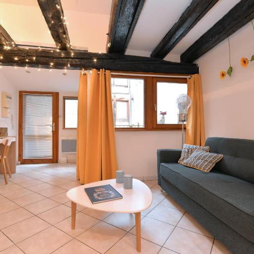 Appartement La Terrasse sur cour, undefined