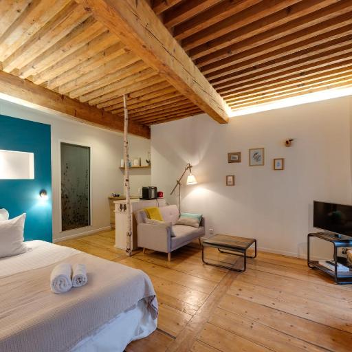 La Cour Filaterie - Suite of 30 sq m in the Annecy breakfast included, undefined