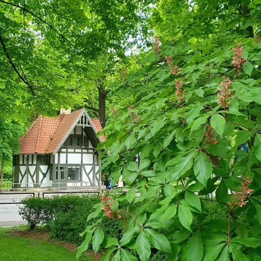 PARKA NAMIŅŠ - 2 stāvu namiņš Viesturdārzā pērļu medniekiem!, undefined