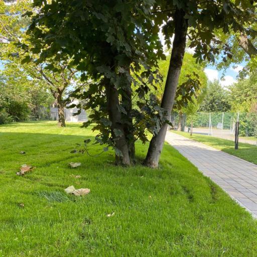 Villanova 4 Rooms, undefined