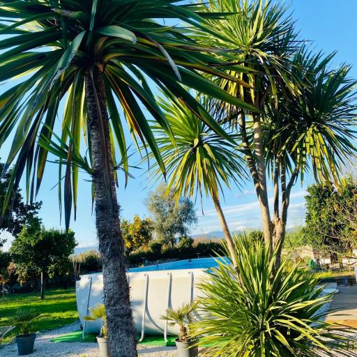 Apartment QUINTA DE AREIAS, undefined