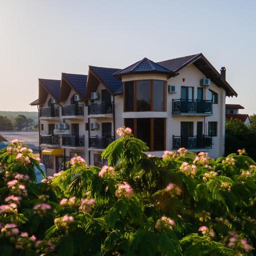 Casa Familia Vladoi, undefined