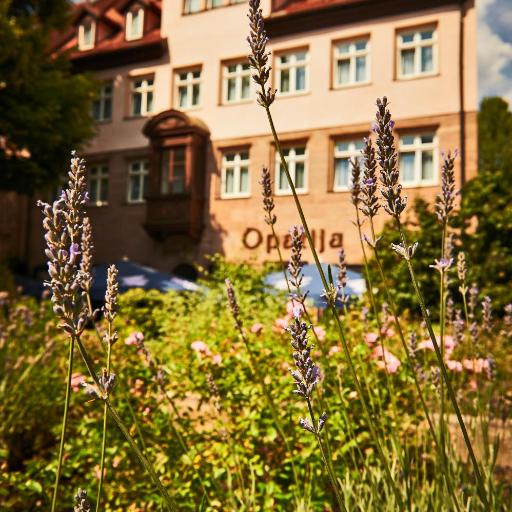 Hotel Hauser Boutique, undefined