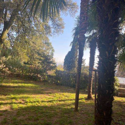 Apartman Tia, undefined