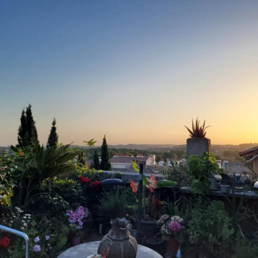 Un nid sur les toits face au palais des papes, undefined