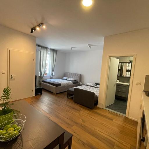 Ljubljana Studios, undefined