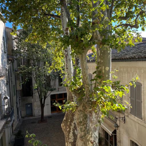 La charmante du Palais 2 chambres, undefined