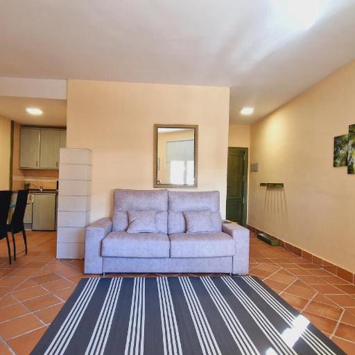 IMEDA ESTUDIO SALVIA, undefined