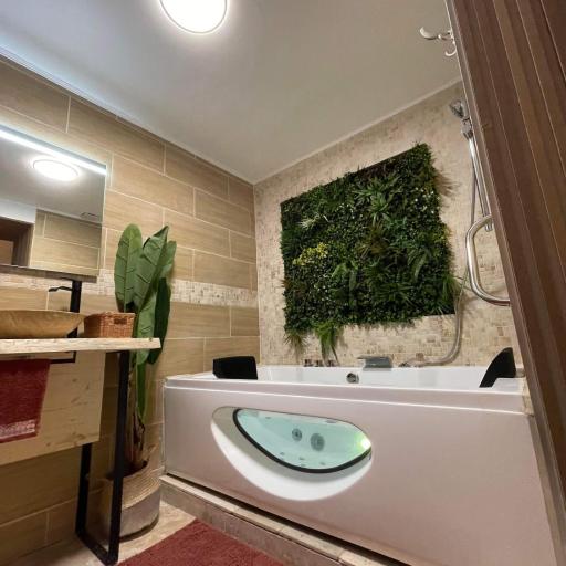 Velours & Balnéo, undefined