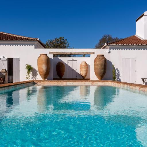 Cenoura-Brava, undefined