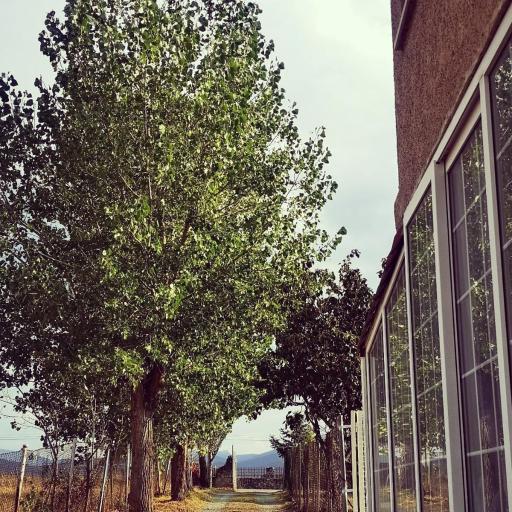 Agradable casa con jardín: Casasola, undefined