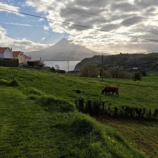 Apartamentos Praia do Almoxarife, undefined