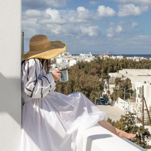 Elena Hotel Mykonos, undefined