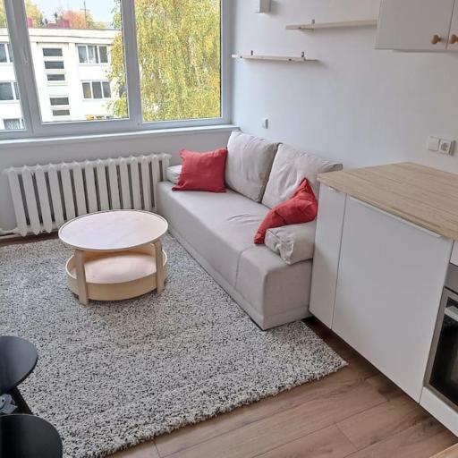 Stylish Studio in Central Vilnius II, undefined
