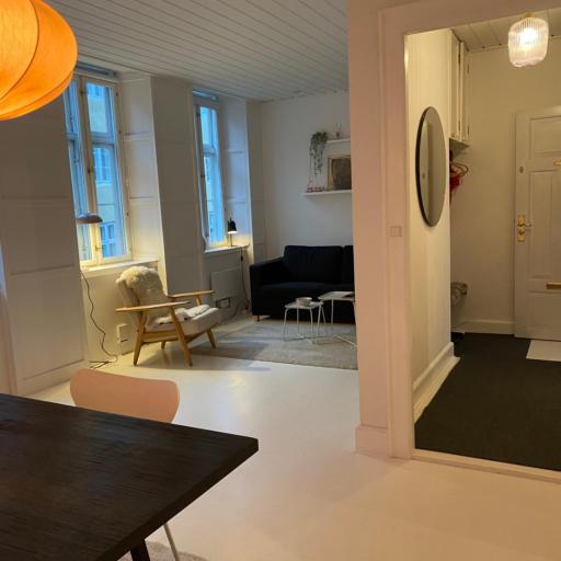 In the city center of Copenhagen, undefined