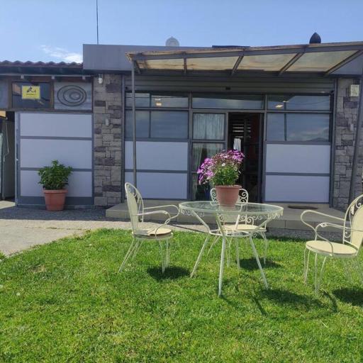 Harmony Sophie's, undefined