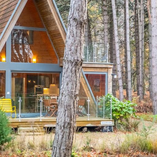 Woodpecker, undefined