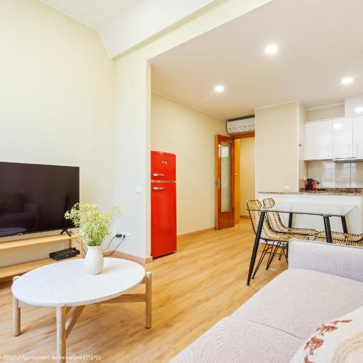 Flateli Pelayo H6, undefined