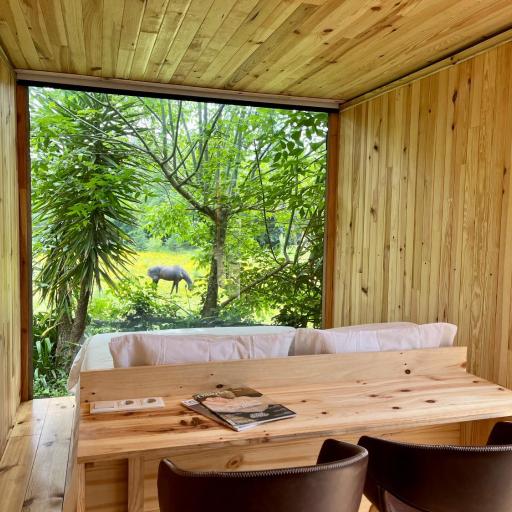 Springfield Lodge, undefined