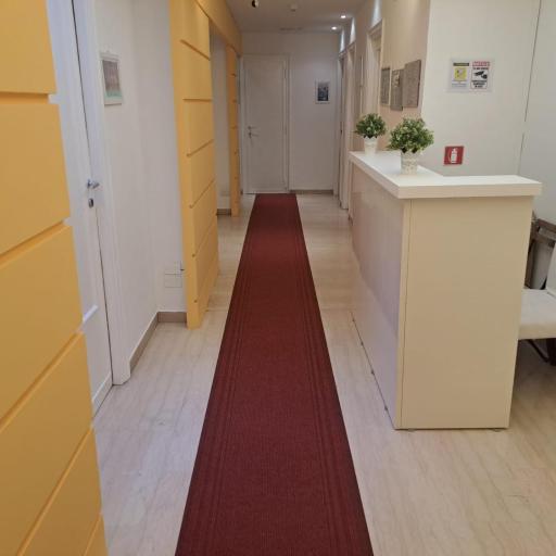 IN ROMA LIFE, undefined