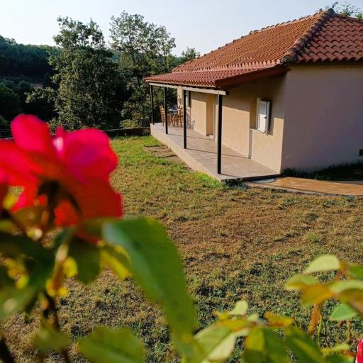 Billy's house, undefined