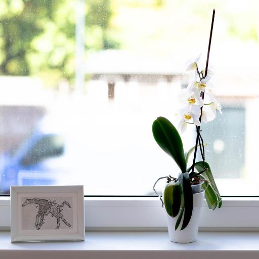 B&B Brouwersvaart, undefined