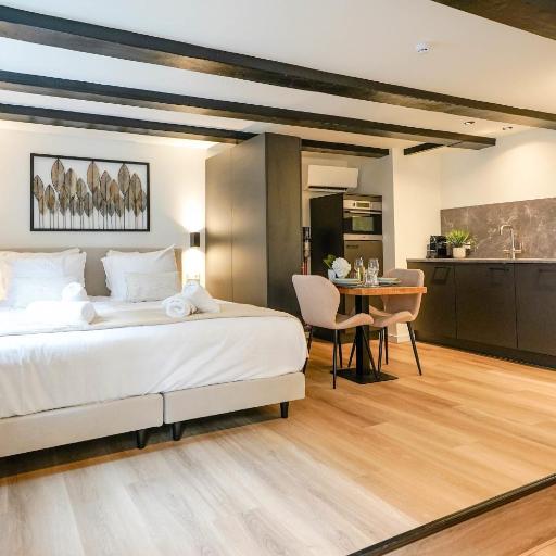 Luxury City Center Studio, undefined