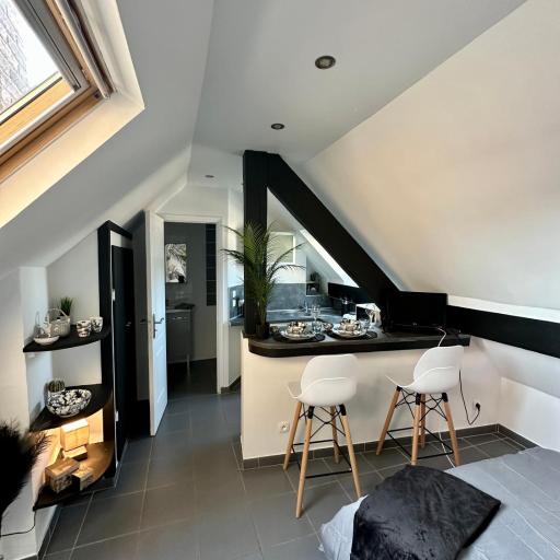 Studio chaleureux hypercentre Amiens, undefined