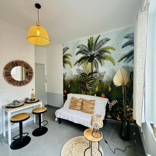 Studio Bohème hypercentre, undefined