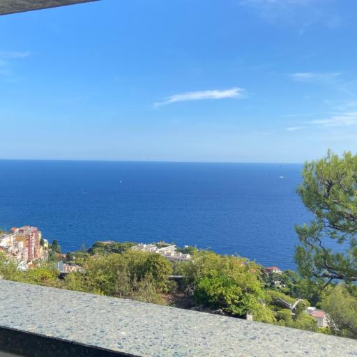 MONACO DOORS 5 Vue Mer, piscine, parking, undefined
