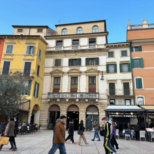 Elite Arena, undefined