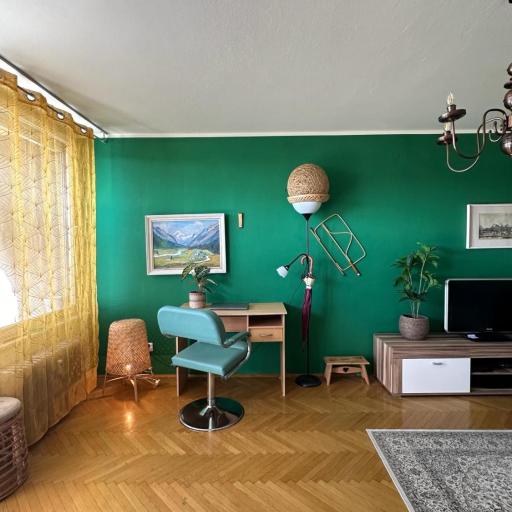 Ljubljana center with a castle view, PARKING, undefined