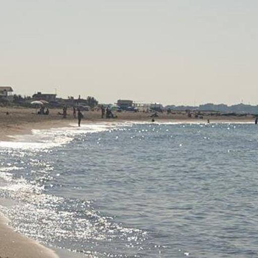 Il Focolare, undefined